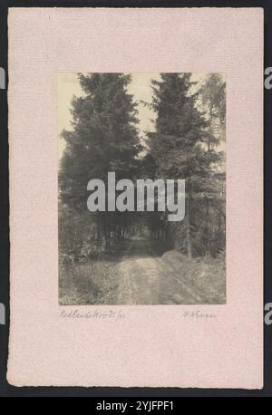 Redlands Woods. Künstler: Frederick H. Evans (Britisch, London 1853-1943). Abmessungen: Befestigung: 15/16 Zoll X 11/16 Zoll (25,3 x 17 cm) Bild: 6 1/16 x 4 7/16 Zoll (15,4 x 11,2 cm). Datum: 1893. Museum: Metropolitan Museum of Art, New York, USA. Stockfoto