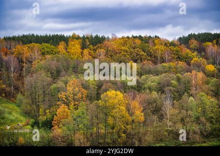 Ein atemberaubender Blick auf einen üppigen Wald im Herbst mit lebhaftem Laub in Gelb-, Orange- und Grüntönen unter einem stimmungsvoll bewölkten Himmel. Erfasst die Stockfoto