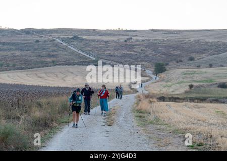 Castrojeriz, Spanien: 17. September 2024: Pilger gehen 2024 auf dem Jakobsweg von Castrojeriz nach Fromista. Stockfoto