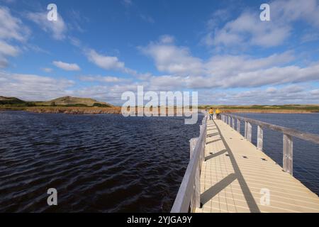 Spaziergänge in den Greenwich Dunes im Prince Edward Island National Park, Greenwich, PEI, Kanada. Stockfoto