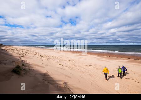 Spaziergänge in den Greenwich Dunes im Prince Edward Island National Park, Greenwich, PEI, Kanada. Stockfoto