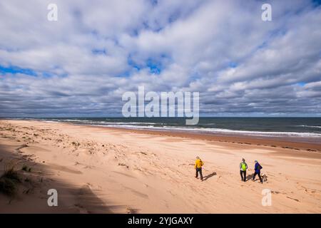 Spaziergänge in den Greenwich Dunes im Prince Edward Island National Park, Greenwich, PEI, Kanada. Stockfoto