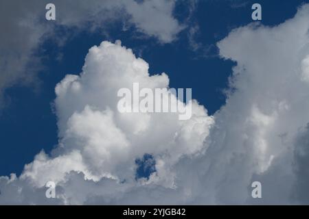 Kochende graue und weiße Kumuluswolken vor blauem Himmel. Kanagawa, Japan. Stockfoto