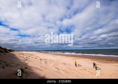 Spaziergänge in den Greenwich Dunes im Prince Edward Island National Park, Greenwich, PEI, Kanada. Stockfoto