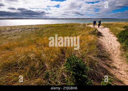 Spaziergänge in den Greenwich Dunes im Prince Edward Island National Park, Greenwich, PEI, Kanada. Stockfoto