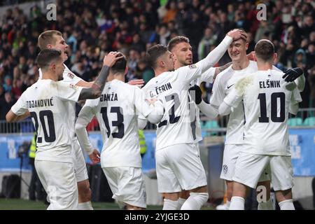 Ljubljana, Slowenien. November 2024. Die slowenischen Spieler feiern beim Fußball-Spiel der UEFA Nations League B zwischen Slowenien und Norwegen am 14. November 2024 in Ljubljana, Slowenien. Quelle: Zeljko Stevanic/Xinhua/Alamy Live News Stockfoto