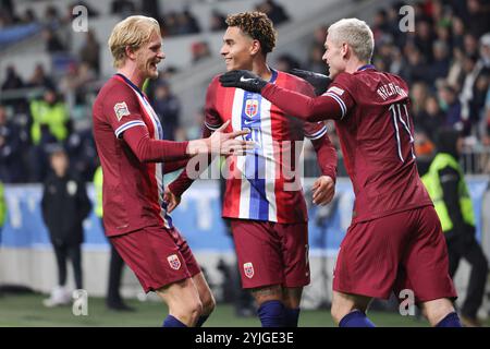 Ljubljana, Slowenien. November 2024. Norwegische Spieler feiern beim Fußball-Spiel der UEFA Nations League B zwischen Slowenien und Norwegen am 14. November 2024 in Ljubljana, Slowenien. Quelle: Zeljko Stevanic/Xinhua/Alamy Live News Stockfoto