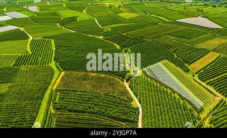 SILANDRO, ITALIEN – 28. AUGUST 2024: Das ruhige Vinschgau in Südtirol mit seinen saftig grünen Wiesen und den umliegenden Bergen Stockfoto