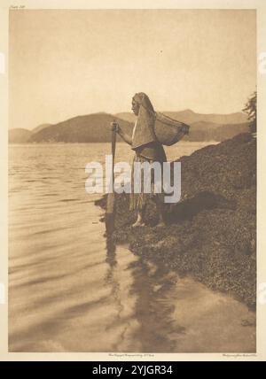 Der Algensammler. Edward S. Curtis; amerikanisch, 1868-1952. Datum: 1915. Abmessungen: 39 x 28,2 cm (Bild/Papier); 55,8 x 45,2 cm (Halterung). Fotografie, Platte 369 aus „The North American Indian, Volume 11“ (1916). Herkunft: Vereinigte Staaten. Museum: Chicago Art Institute, FLORENCIA, USA. Autor: Edward S. Curtis. Stockfoto