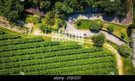 RIVA DEL GARDA, ITALIEN – 21. AUGUST 2024: Riva del Garda, eine malerische Stadt am Nordufer des Gardasees, bietet einen atemberaubenden Blick auf die Berge und einen klaren bl Stockfoto