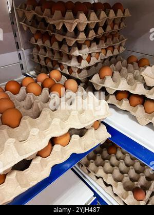 Eine Sammlung brauner Eier, die ordentlich in Kartonschalen auf Metallregalen angeordnet sind, zeigt eine lebendige und organisierte Lagerung von Lebensmitteln. Stockfoto