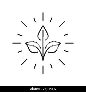 Eco Plant Line Symbol Mit Strahlenden Linien, Gesunde Und Nachhaltige Nahrungsmittelauswahl Outline Symbol. Schild Für Umweltfreundliche Produkte. Abbildung Des Isolierten Vektors Stock Vektor