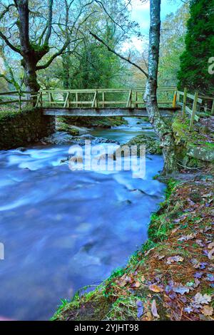 Holzbrücke über den Bayones River in Ucieda, Cabuerniga Valley, Kantabrien. Stockfoto