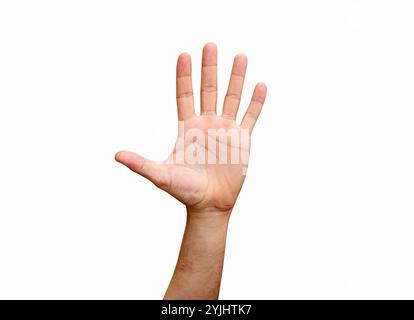 Die Hand des isolierten Mannes zeigt fünf Finger. Menschliche Hand. Öffnen Sie die Hand. Stockfoto