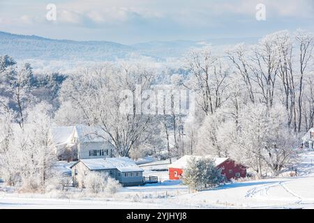 Häuser und Bäume in Neuengland nach dem Wintereis Stockfoto