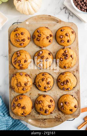 Blick von oben auf frisch gebackene Kürbis-Schokoladen-Chip-Muffins in einer Dose Stockfoto