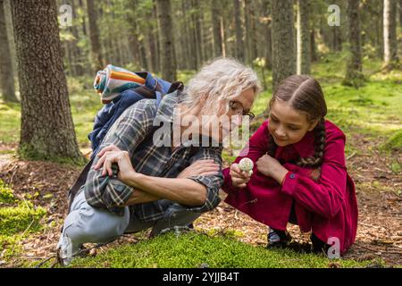 Kleines Mädchen und Großmutter untersuchen Pilze im Wald Stockfoto