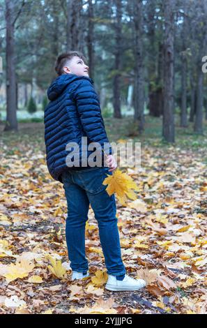 Ein 12-jähriger weißer Junge in blauer Jacke und blauer Jeans steht in einem Herbstpark seitlich zur Kamera und schaut auf, hält gelbe Blätter in der Hand Stockfoto