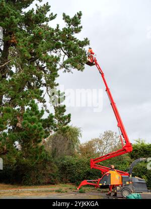 Ein Baumkräne oder Baumpflegehandler mit Teleskopausleger, der zum Entfernen von Bäumen oder Ästen verwendet wird. Stockfoto