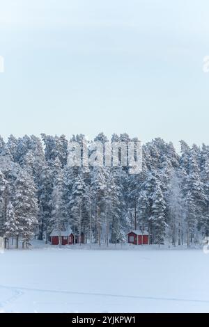 Verschneite Wälder, zwei rote Hüttenhäuser im Wald, Winterlandschaft in Finnland Stockfoto