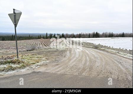 Eine ländliche Landschaft mit einer unbefestigten Straße, die sich im Spätherbst oder frühen Winter durch offene Felder führt. Frost bedeckt das Gras und die Felder leicht, während eine Reihe o Stockfoto