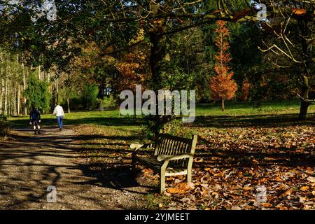 Ein Paar, das einen Spaziergang entlang eines Schotterpfads inmitten farbenfroher Herbstlaub macht, RHS, Harlow Carr, Harrogate, Yorkshire. Stockfoto