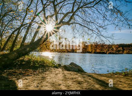 Herbstfarben am Ufer des Potomac River 5 Stockfoto