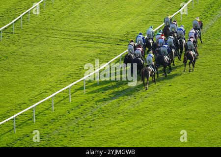 Läufer und Fahrer starten in der Conditional Jockeys Handicap Hürdle von Lycetts Insurance Brokers während des Country Day auf der Cheltenham Racecourse. Bilddatum: Freitag, 15. November 2024. Stockfoto