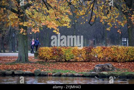 Schwerin, Deutschland. November 2024. Im Schlosspark sind Spaziergänger im stumpfsinnigen Novembergrau unterwegs, die Blätter an den Hecken und Bäumen haben ihre Farbe verändert. Quelle: Bernd Wüstneck/dpa/Alamy Live News Stockfoto