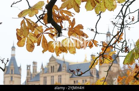 Schwerin, Deutschland. November 2024. Die letzten gelben Blätter hängen an einem Kastanienbaum vor der Burg. Das Wetter im Norden ist ein düsterer, grauer November. Quelle: Bernd Wüstneck/dpa/Alamy Live News Stockfoto