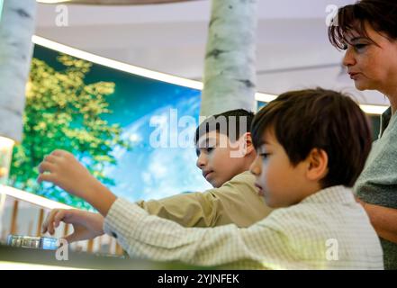 Baku, Aserbaidschan. November 2024. Kinder spielen ein interaktives Spiel in der Green Zone während der UN-Klimakonferenz COP29, einer Veranstaltung, die am 15. November 2024 vom UNFCCC im Baku Olympiastadion in Baku, der Hauptstadt Aserbaidschans, abgehalten wird. Die COP29, die vom 11. Bis 22. November läuft, konzentriert sich auf die Klimafinanzierung. (Foto: Dominika Zarzycka/SIPA USA) Credit: SIPA USA/Alamy Live News Stockfoto