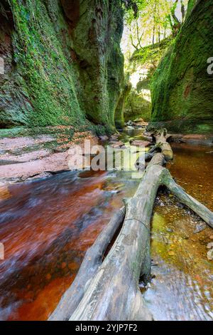 Die Teufelskulpe in Finnich Glen, einer versteckten tiefen Schlucht in Schottland Stockfoto