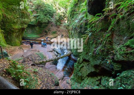 Leute in der Teufelskulpe in Finnich Glen, einer versteckten tiefen Schlucht in Schottland Stockfoto