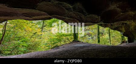 Malerische Naturvielfalt von Müllerthal, Luxemburgs kleiner Schweiz, Wanderwege, Felsformationen, moosbedeckte Wälder, Touristenziel in E Stockfoto