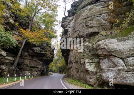 Malerische Naturvielfalt von Müllerthal, Luxemburgs kleiner Schweiz, Wanderwege, Felsformationen, moosbedeckte Wälder, Touristenziel in E Stockfoto