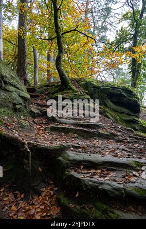 Malerische Naturvielfalt von Müllerthal, Luxemburgs kleiner Schweiz, Wanderwege, Felsformationen, moosbedeckte Wälder, Touristenziel in E Stockfoto