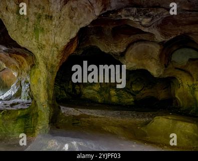 Malerische Naturvielfalt von Müllerthal, Luxemburgs kleiner Schweiz, Wanderwege, Felsformationen, moosbedeckte Wälder, Touristenziel in E Stockfoto