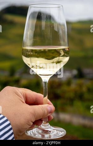 Gläser weißen Trockenriesling, hergestellt im Moseltal in Deutschland oder Luxemburg, Blick auf Terrassen-Weinberge in Nittel Stockfoto