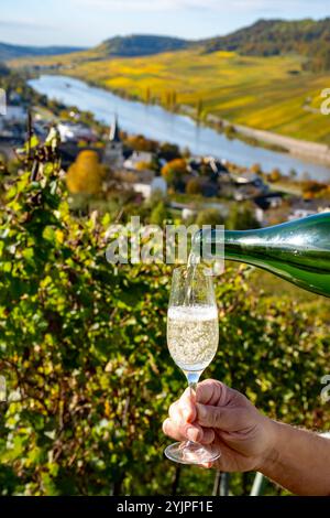 Eingießen von Weißwein, traditionelle Champagnermethode Herstellung von cremant in Höhlen im Moseltal in Luxemburg, Glas Wein und Aussicht Stockfoto