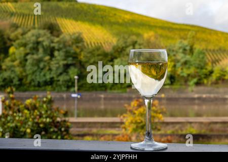 Gläser weißen Trockenriesling, hergestellt im Moseltal in Deutschland oder Luxemburg, Blick auf Terrassen-Weinberge in Nittel Stockfoto