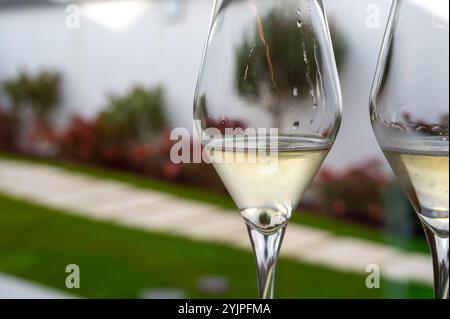 Verkostung von Weißwein, traditionelle Champagnermethode Herstellung von cremant in Höhlen im Moseltal in Luxemburg, Gläser Wein Stockfoto