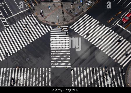 Fußgänger, die einen Fußgängerübergang in Shibuya, Japan, überqueren Stockfoto