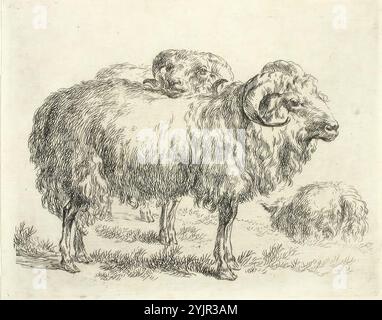 Berghem, Nicolas, Arbeit, zwei Widder, Zeilenätzung, Grafiken, Blattbreite 13,4 cm, Blatthöhe 10, 8 cm Stockfoto