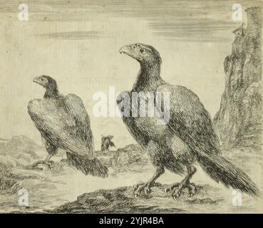Della Bella, Stefano, Arbeit, Adler (fünf Blätter aus einem Satz von sechs Blättern), Zeilenätzung und Gravur, Grafiken, Breite 4 14,5 cm, Breite 3 14,4 cm, Breite 2 14,4 cm, Breite 14,8 cm, Blätter: Breite 14,8 cm, Blätter: Höhe 12 cm, Höhe 4 11,8 cm, Höhe 3 11, 2 cm, Höhe 2 12 cm, Höhe 12,2 cm Stockfoto