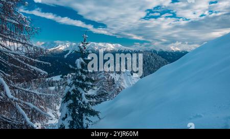 Auf dem Berg Zoncolan, Karnischen alpen nach einem großen Schneefall. Provinz Udine, Region Friaul-Julisch Venetien, Italien Stockfoto