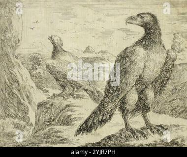 Della Bella, Stefano, Arbeit, Adler (fünf Blätter aus einem Satz von sechs Blättern), Zeilenätzung und Gravur, Grafiken, Breite 4 14,5 cm, Breite 3 14,4 cm, Breite 2 14,4 cm, Breite 14,8 cm, Blätter: Breite 14,8 cm, Blätter: Höhe 12 cm, Höhe 4 11,8 cm, Höhe 3 11, 2 cm, Höhe 2 12 cm, Höhe 12,2 cm Stockfoto
