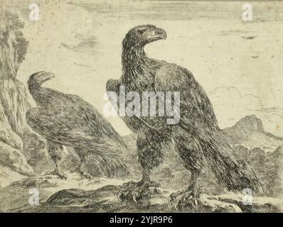 Della Bella, Stefano, Arbeit, Adler (fünf Blätter aus einem Satz von sechs Blättern), Zeilenätzung und Gravur, Grafiken, Breite 4 14,5 cm, Breite 3 14,4 cm, Breite 2 14,4 cm, Breite 14,8 cm, Blätter: Breite 14,8 cm, Blätter: Höhe 12 cm, Höhe 4 11,8 cm, Höhe 3 11, 2 cm, Höhe 2 12 cm, Höhe 12,2 cm Stockfoto