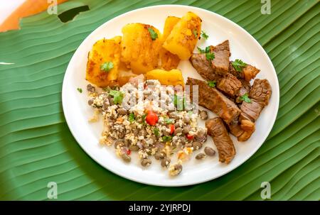 Traditionelles rustikales, tropisches brasilianisches Gericht, sonnengetrocknetes Rindfleisch mit grünen Bohnen, Maniok, Biquinho-Pfeffer. Kreative rustikale Fotografie Stockfoto