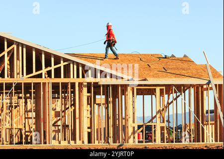 Apache Junction, Arizona, USA. November 2024. Der Boom des Wohnungsbaus im Pinal County, Arizona, verwandelt einst dünn besiedelte Gebiete schnell in neue Wohnsiedlungen. Bauarbeiter arbeiten lange Zeit, um die steigende Nachfrage nach erschwinglichem Wohnraum zu befriedigen, da sich die Unterteilungen erweitern, um der wachsenden Bevölkerung des Countys gerecht zu werden. Die Entwickler verweisen auf Arizonas starkes Wirtschaftswachstum und relativ erschwingliches Land in Pinal als Schlüsselfaktoren. Projekte versprechen eine Mischung aus Einfamilienhäusern, Stadthäusern und Annehmlichkeiten, um lokale und außerstaatliche Käufer anzuziehen. (Kredit-Imag Stockfoto