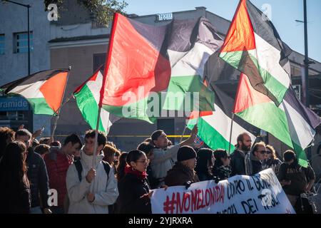 Rom, Rm, Italien. November 2024. Tausende von Studenten nehmen an dem Anti-Regierungs-marsch Teil, um gegen die Kürzungen im Bildungsbereich, den Waffenverkauf an Israel und die DDL1660 (Credit Image: © Marco Di Gianvito/ZUMA Press Wire) NUR REDAKTIONELLE VERWENDUNG zu protestieren! Nicht für kommerzielle ZWECKE! Stockfoto